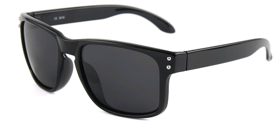 Eclipse Sunglasses Black Plastic frame with Smoke lense Eclipse Sunglasses Black Plastic frame with Smoke lense