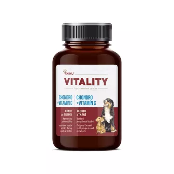 Akinu VITALITY Chondro+Vitamín C doplněk stravy pro…