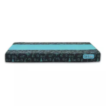 Akinu ČESKÝ LES matrace XL 110x75x12 cm Barva: Modrá