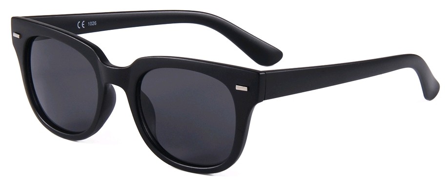 Eclipse Sunglasses Plastic Matte Black frame with Smoke lens Eclipse Sunglasses Plastic Matte Black frame with Smoke lens